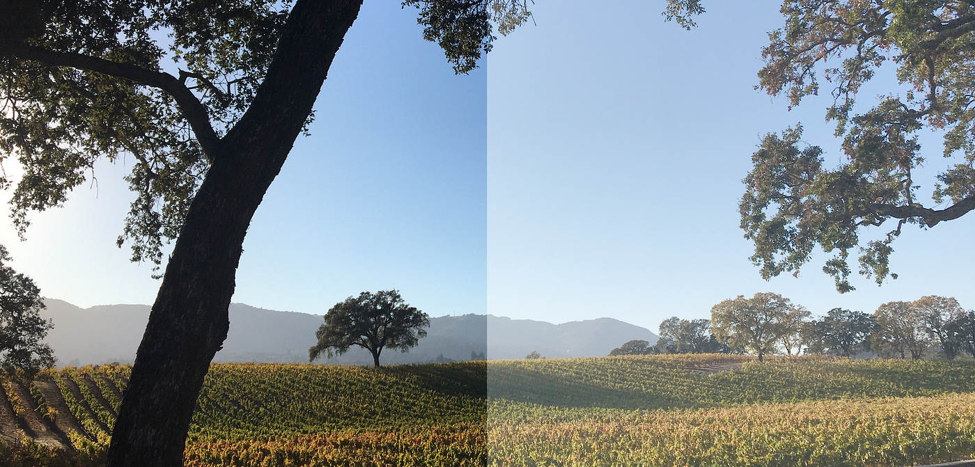 Split-screen landscape photo showing the same shot with correct and incorrect gamma: the brighter version loses contrast and looks washed out